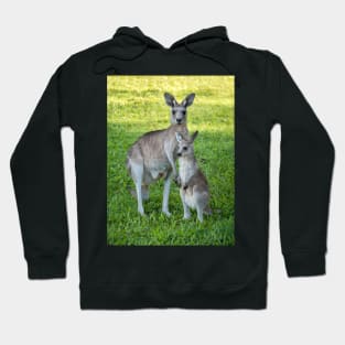 Eastern Grey Kangaroo and Joey Hoodie